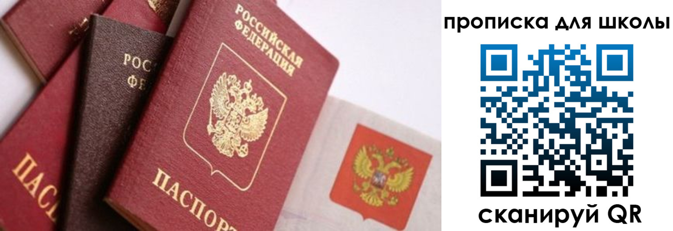 прописка поиск в Татарстане